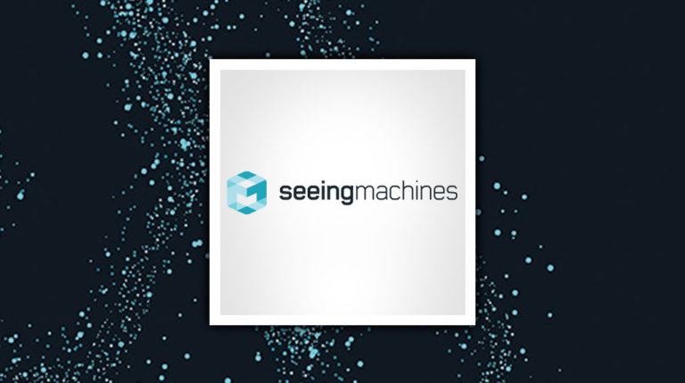 Seeing Machines